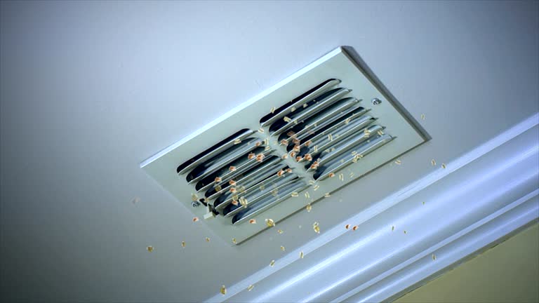Best Ductwork Cleaning Services  in Catonsville, MD