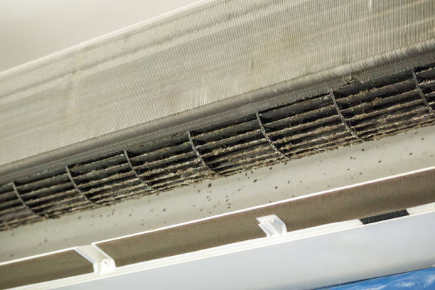 Best Air Duct Cleaning Company Near Me  in Catonsville, MD